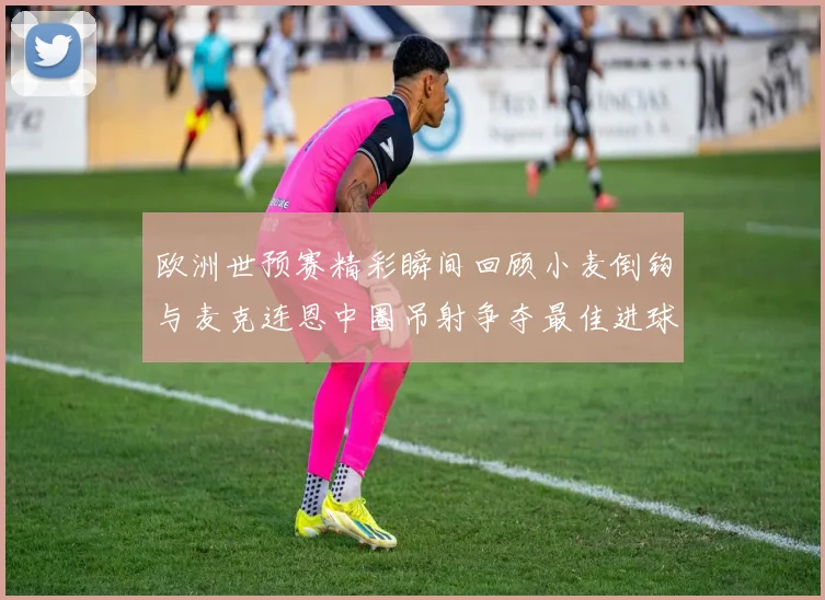 欧洲世预赛精彩瞬间回顾小麦倒钩与麦克连恩中圈吊射争夺最佳进球