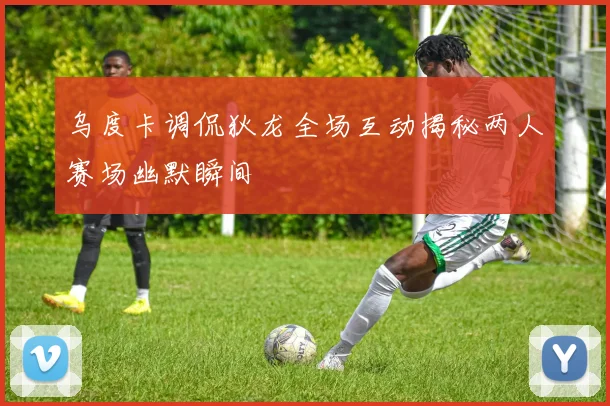 乌度卡调侃狄龙全场互动揭秘两人赛场幽默瞬间