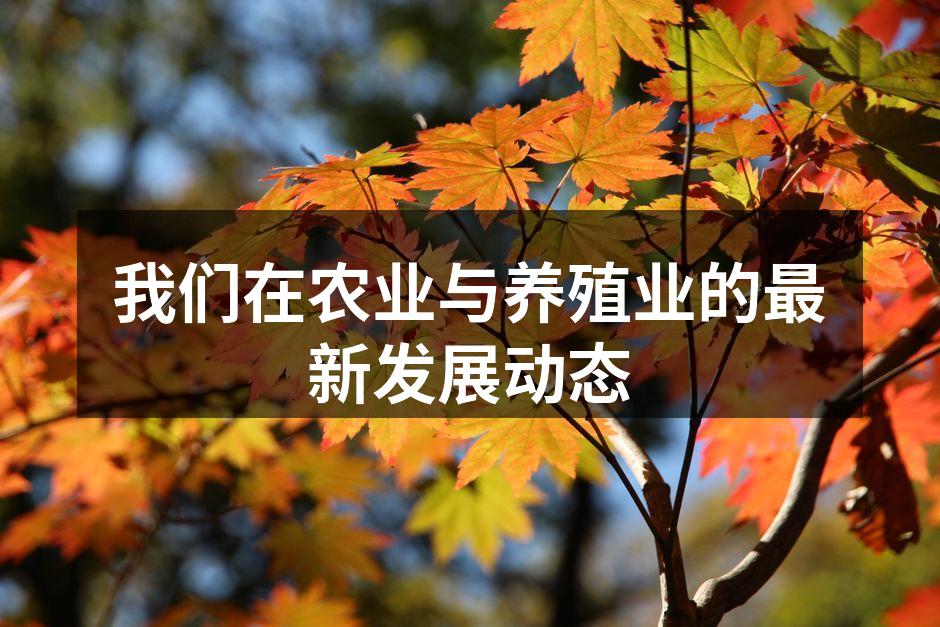 我们在农业与养殖业的最新发展动态
